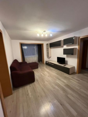 Apartament cozy near the city center